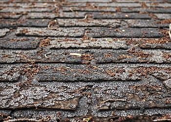 Your Hometown Roofing Images